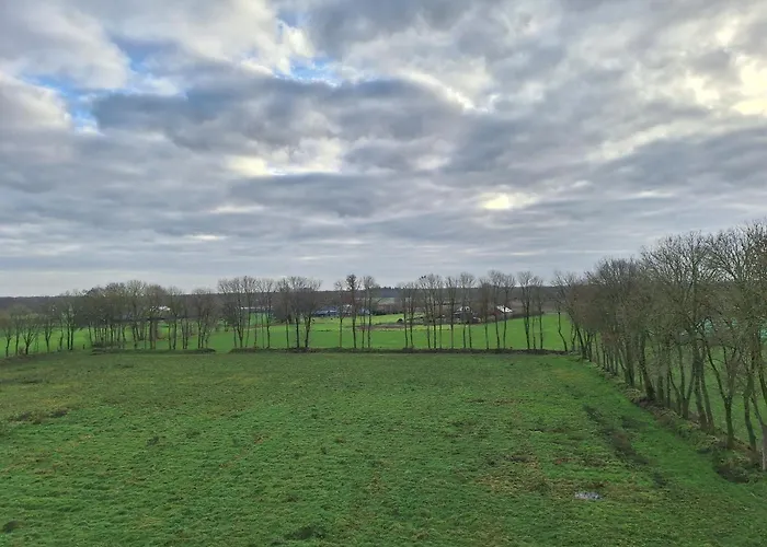 Apartment Lange Heide